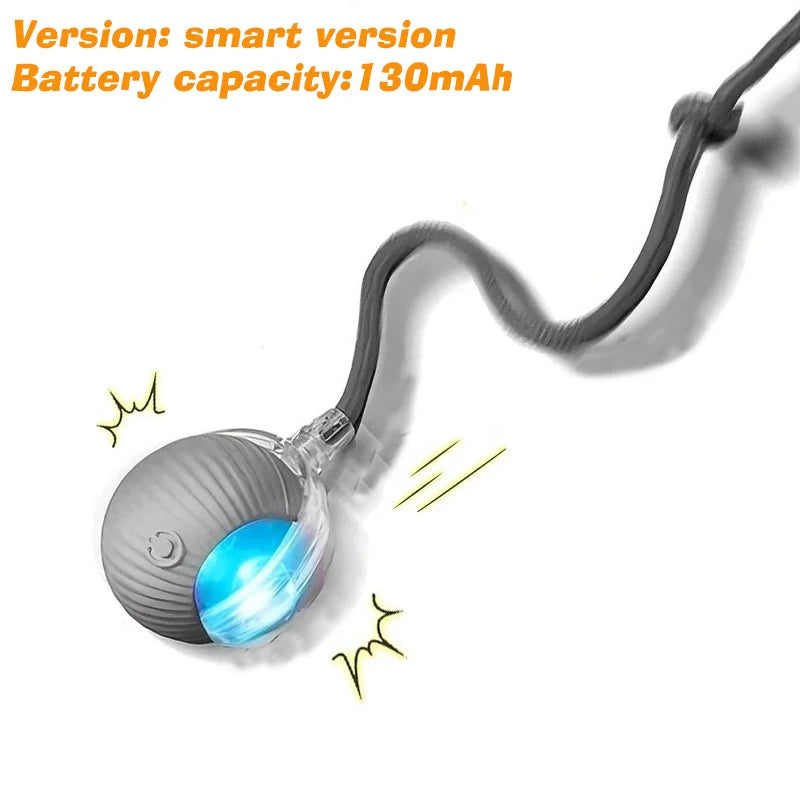 PurrPlay Smart Rolling Ball