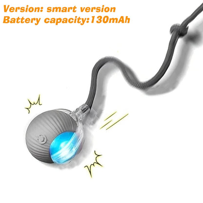 PurrPlay Smart Rolling Ball