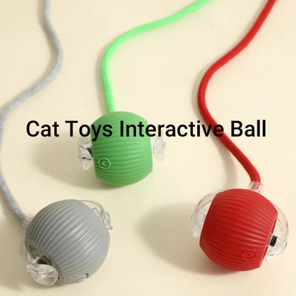PurrPlay Smart Rolling Ball