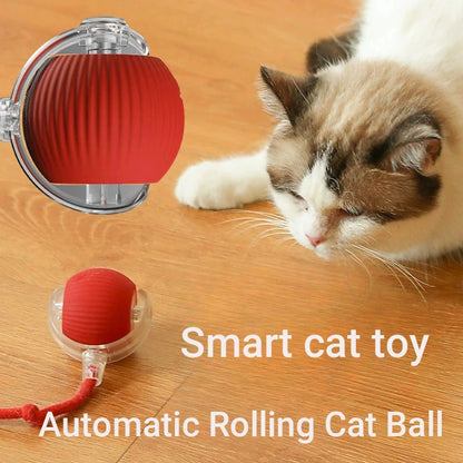 PurrPlay Smart Rolling Ball