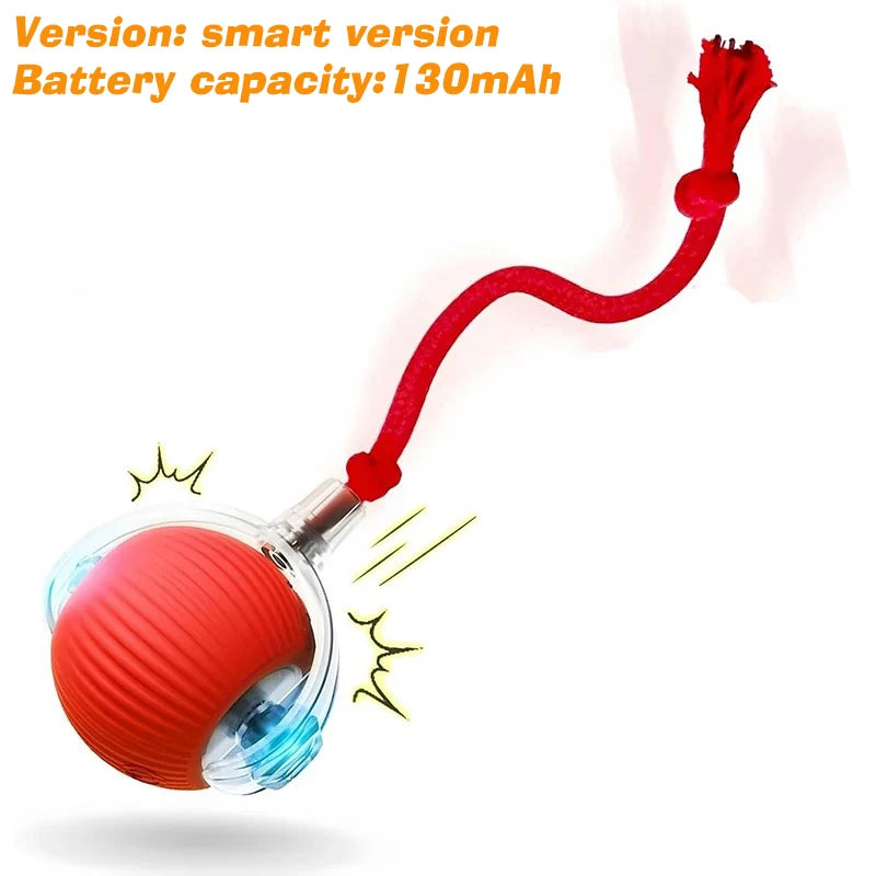 PurrPlay Smart Rolling Ball
