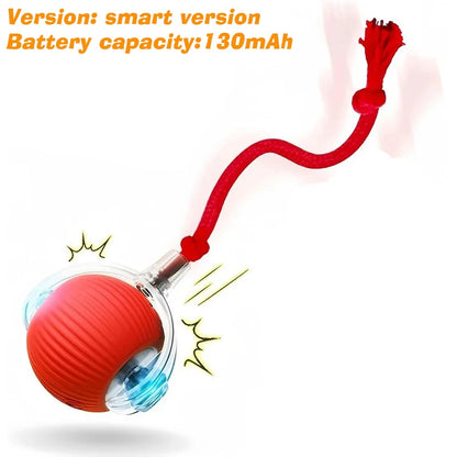 PurrPlay Smart Rolling Ball