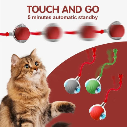 PurrPlay Smart Rolling Ball