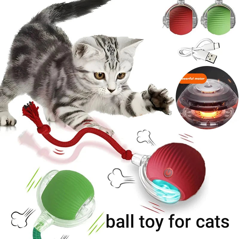 PurrPlay Smart Rolling Ball