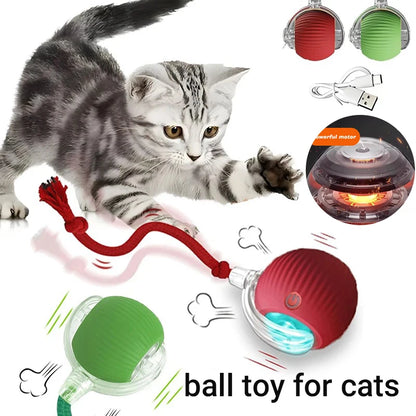 PurrPlay Smart Rolling Ball