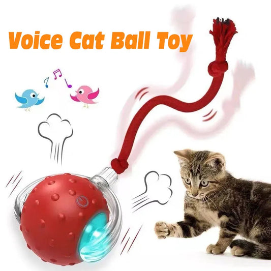 PurrPlay Smart Rolling Ball
