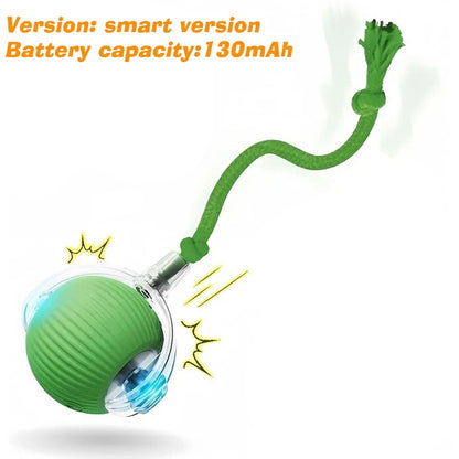 PurrPlay Smart Rolling Ball