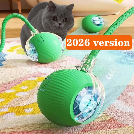 PurrPlay Smart Rolling Ball